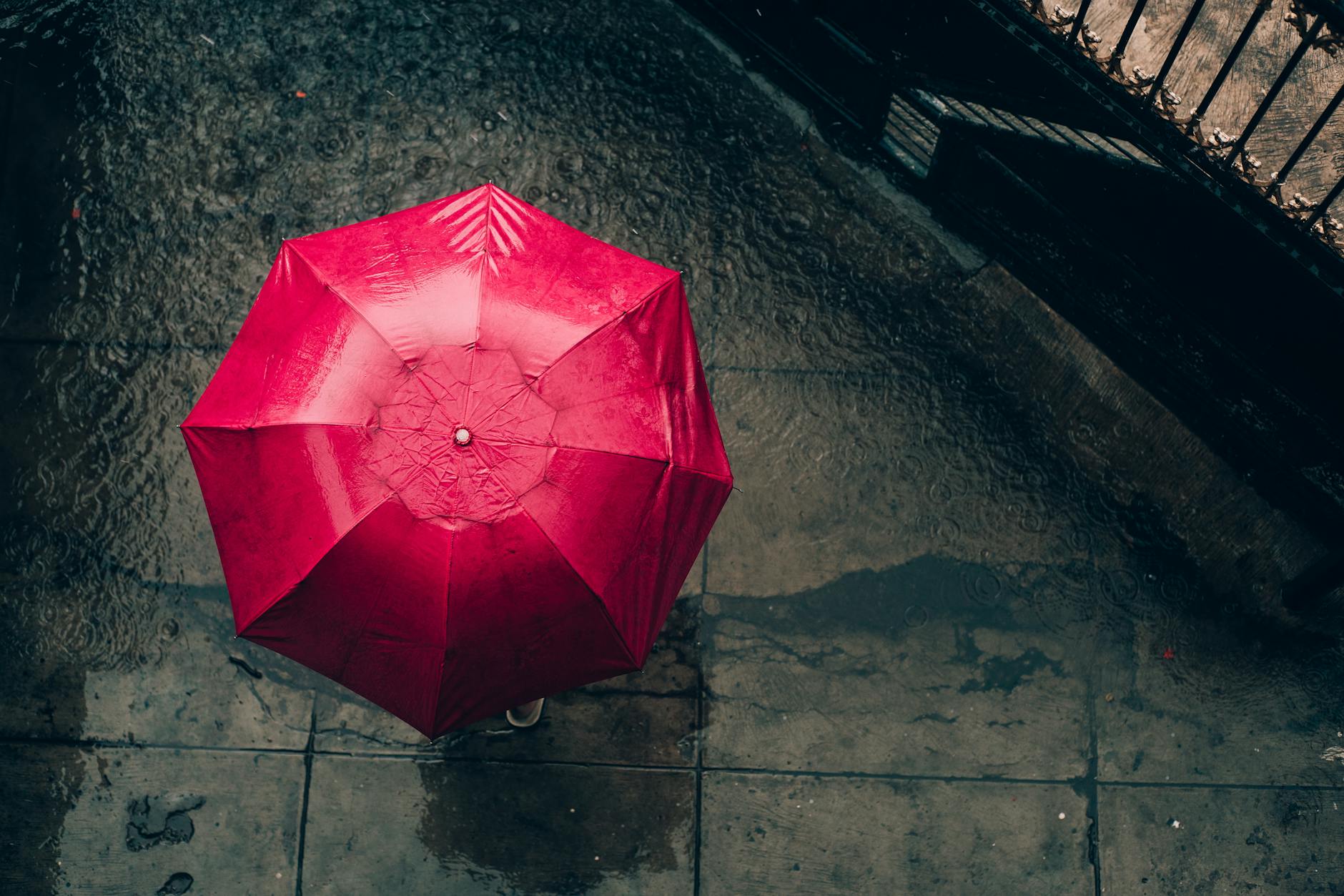 Czerwony parasol z góry na deszczowej miejskiej ulicy Czerwony parasol z góry na deszczowej miejskiej ulicy
