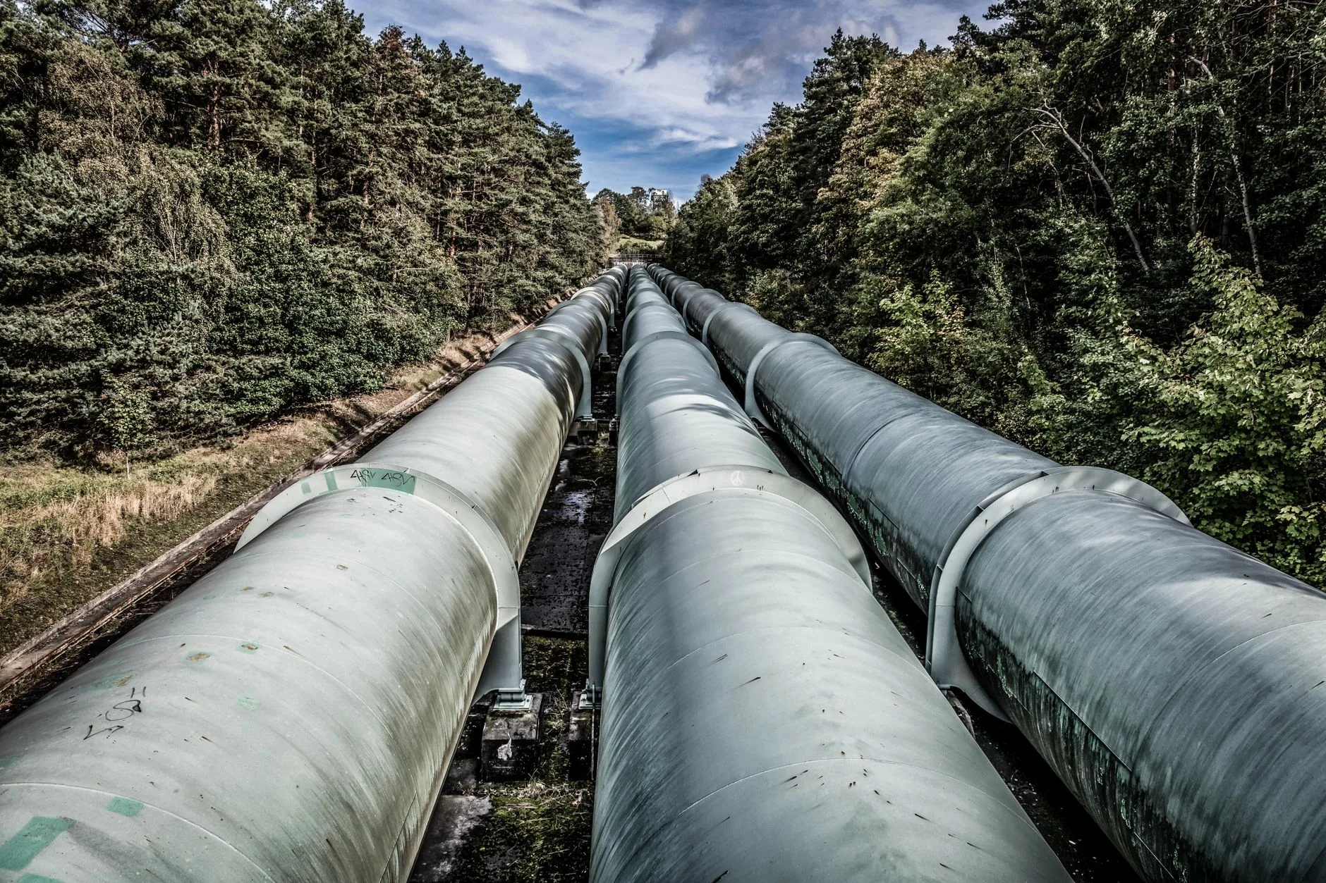 Jak zacząć przygodę z MLOps: narzędzia, pipeline’y i dobre praktyki wdrażania modeli AI Przemysłowe rurociągi biegnące przez zielony, gęsty las