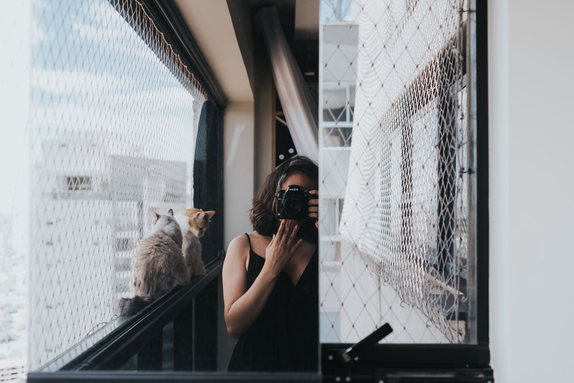 Kobieta fotografuje dwa koty na balkonie za oknem